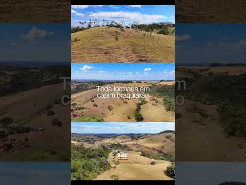 Fazenda à venda 57 Alqueires (275,88 hectares) Inhumas - GO  #fazendaavenda  #agro