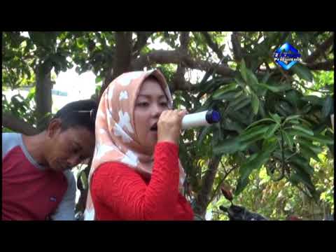 PANORAMA -  SINGA DANGDUT PUTRI SRIKANDI NADA LIVE SUKADANA