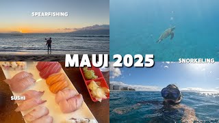 Hawaii Family Vacation 2025 🌺🐢 Visiting Maui, Snorkeling with Sea Turtles, and Sushi!