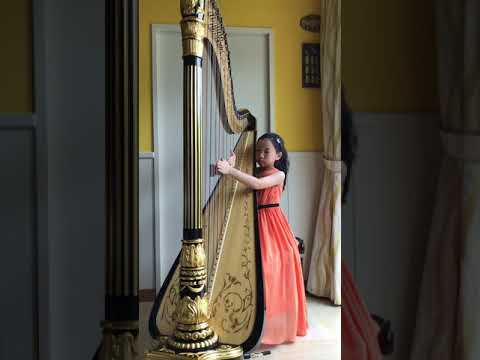 Sonata no.6 in D minor by  Naderman