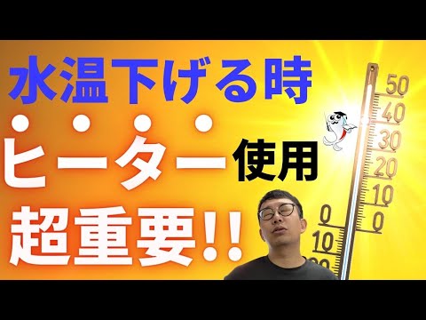 水槽の水が凍らないようにするにはどうすればよいですか?冬に幸せな鳥を育てるための簡単なヒント  庭園