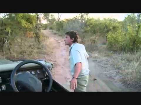 PM Drive at Djuma Game Reserve on March 15, 2015   ( Q Male )