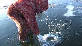Рыбалка на пронском водохранилище рязанская область