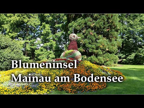 Mainau Flower Island on Lake Constance #shorts