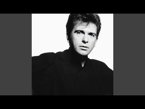 This Is The Picture (Excellent Birds)