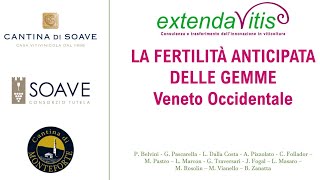 LA FERTILITA' ANTICIPATA DELLE GEMME