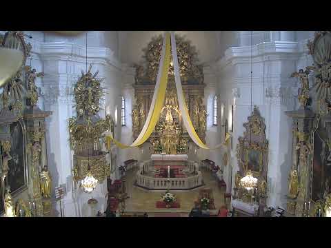 Hochamt am Ostersonntag 9.4.2023 um 9:30 Uhr, Hauptzelebrant  P. Markus Maria Seidler CP