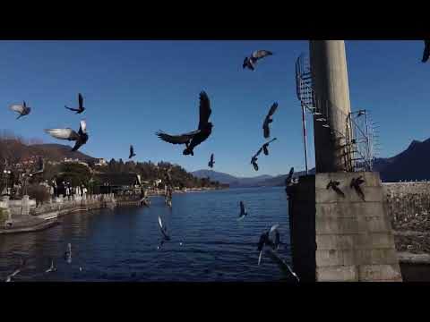 Cosa vedere a... Verbania - Dji Pocket & Mini 2