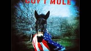 gov't mule- wish you were here