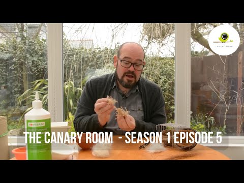 The Canary Room - Season 1 EPISODE  5