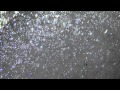 Bvdub & Loscil - Morai