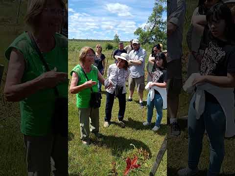 La historia de Doña Ramón en Piñera