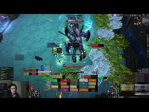 The Eternal Palace - 1MM - Abyssal Commander Sivara (Beast mastery hunter)