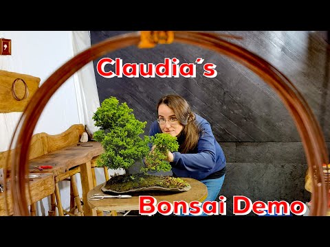 Bonsai Demo Claudia Heinrich