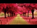 Hiver & Hammer - Fusion 2006 (Carl B Mix ...