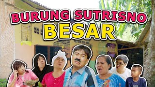 Download lagu SUTRISNO PUNYA BURUNG mp3 Download lagu SUTRISNO PUNYA BURUNG mp3