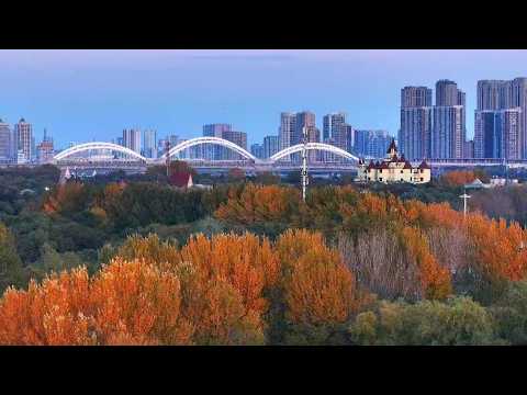 Live: Explore the autumn colors of the Sun Island in Harbin