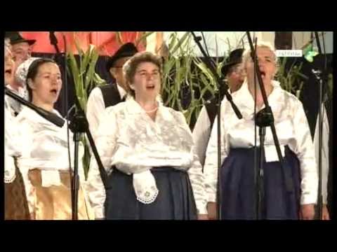 NJE ZRUBUJ, NJE SCINAJ - Mišana grupa Dom kulturi Ruski Kerestur