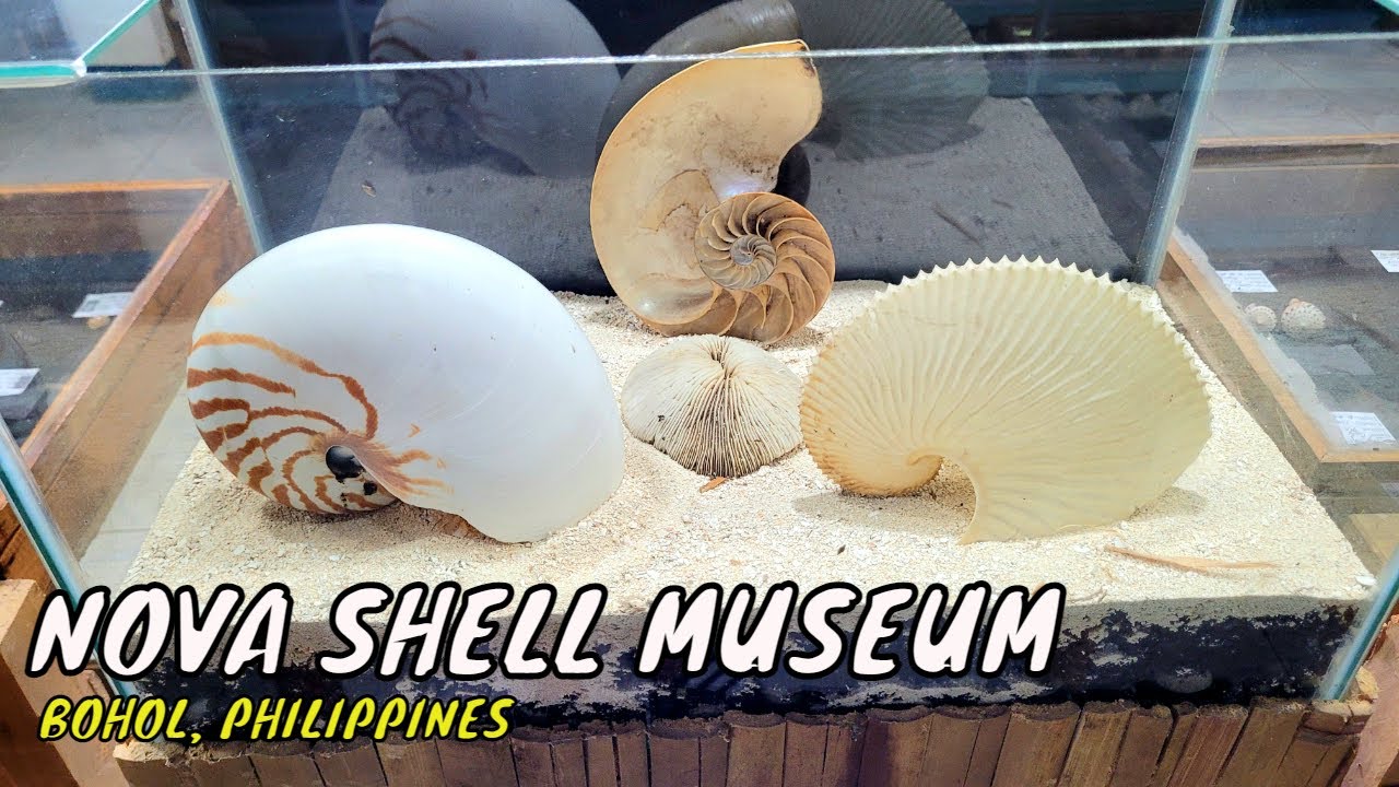 Embark on a virtual tour of Nova Shell Museum.