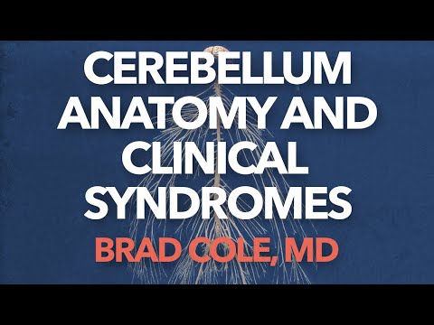 Cerebellum Anatomy and Clinical Syndromes