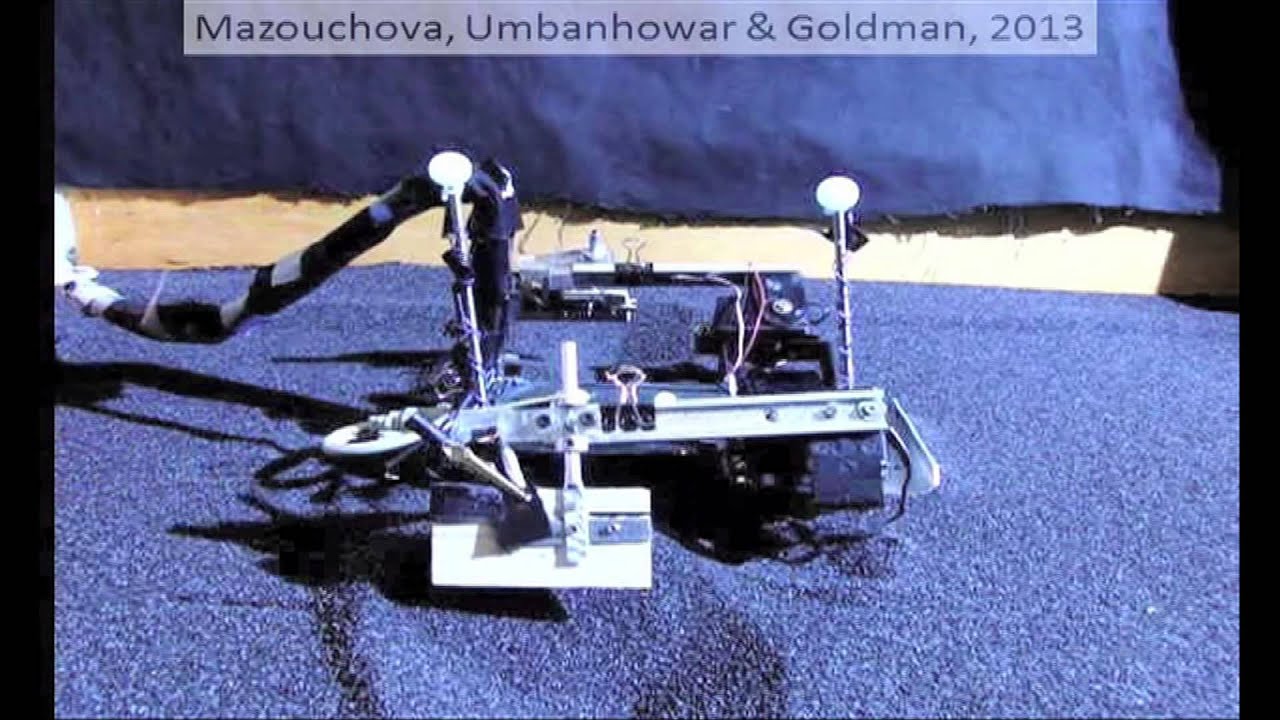 Using robots to reveal secrets of walking baby sea turtles - YouTube