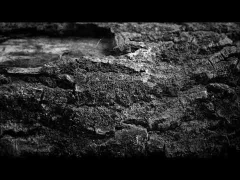 Video thumbnail for Empty