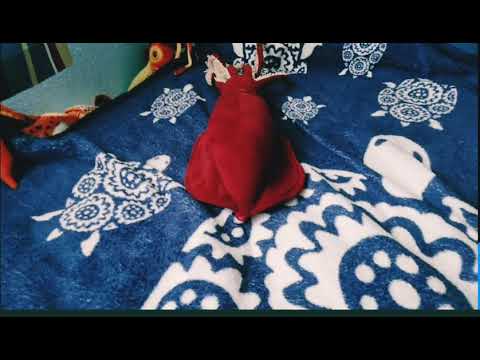 Colossal squid vs giant squid stop motion fight