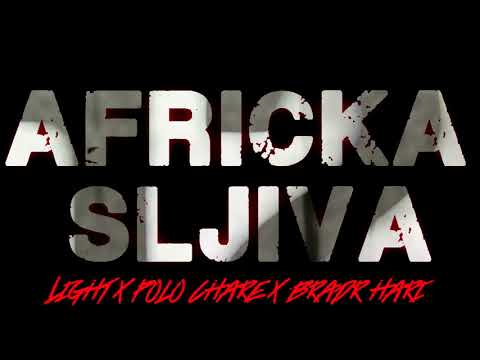 LIGHT x POLO CHARE x BRADR HARI - AFRICKA SLJIVA (prod.Light)
