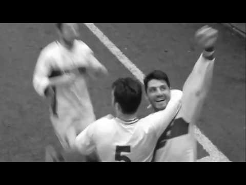 MI SEMBRA D SOGNARE   LIGORNA VITTORIA ECCELLENZA