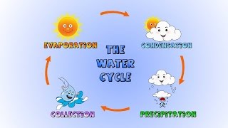 The Water Cycle- How rain is formed-Lesson for kids