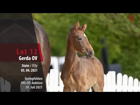 Onlive-Auktion Springfohlen Lot 12 Gerda OV Stute v. Grandorado TN - Comme il faut NRW