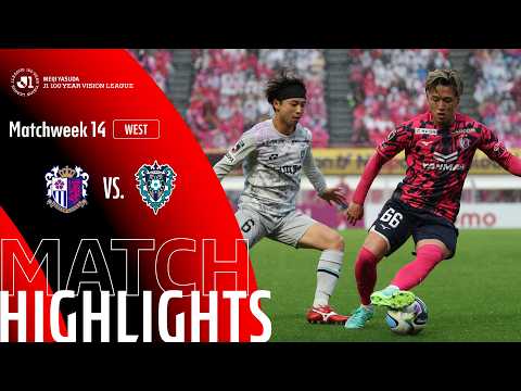 bg-highlight