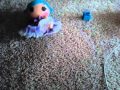 How To Make Mac And Cheese For Your Baby Dolls