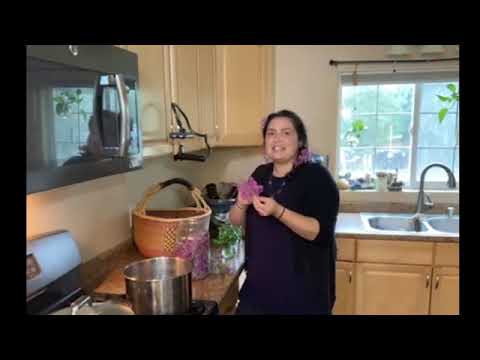 Making Herbal Syrups with Alaska plants and flowers - with Yupik Traditional Healer Molly Cerridwen