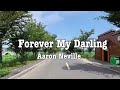 Aaron Neville - Forever My Darling ( Lyrics )