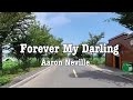 Aaron Neville Forever My Darling Lyrics