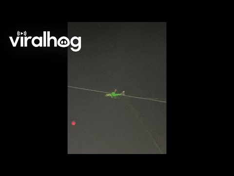 Everyone Points Lasers at Plane Passing By || ViralHog