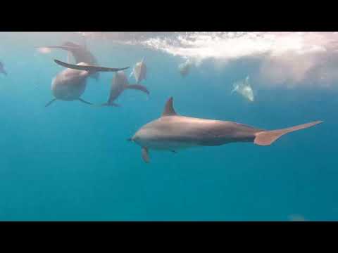 South Africa Surf Ski (SASS) - 2023 Highlights