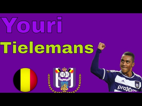 Youri Tielemans - All goals 2016/2017