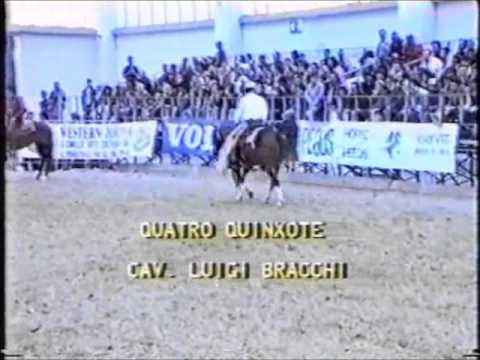 RDVideo - (video 4 di 4) ICHA 1991 Reggio Emilia cat. Non Pro 1° e 2° Go
