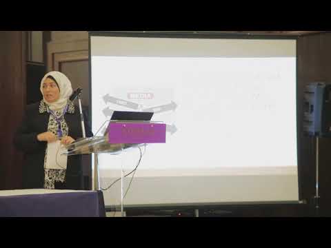 Heba Aref - Summary of Professional Success