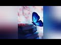 Amazing Nature Wallpapers Pehla Nasha Pehla Khumar SANAM