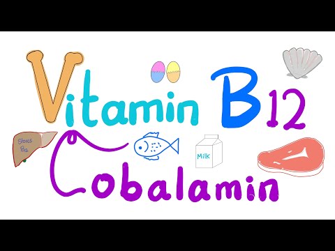 Vitamin B12 (Cobalamin) 🐚 🥩 🐠 -  Most Comprehensive Explanation