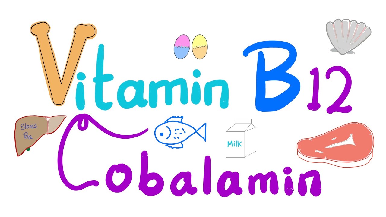 Vitamin B12 (Cobalamin) 🐚 🥩 🐠 -  Most Comprehensive Explanation