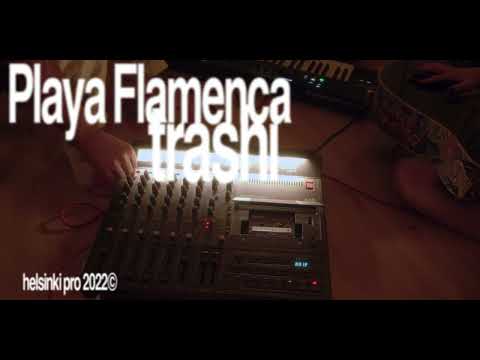 Playa Flamenca - trashi