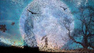 The Beauty of Gemina - Colours of Mind.wmv