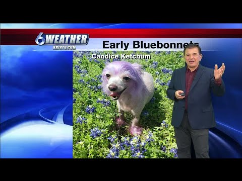 Coastal Bend Weather, Feb. 18, Noon