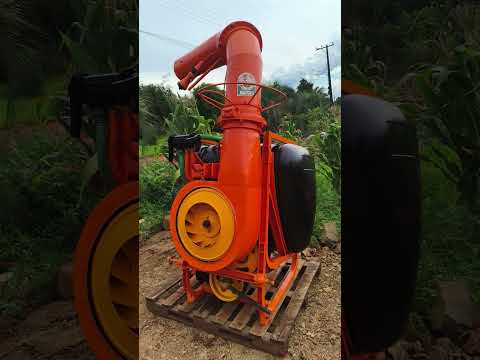 somos de colonia aurora misiones cualquier consulta al wats 3755 554218  Todo disponible