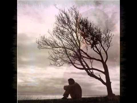 in memoriam voaides victor