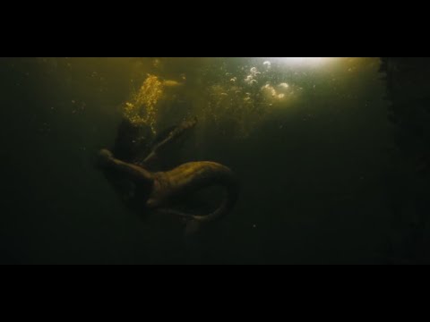 Mermaid Merman Siren Scene from Wednesday (2022)
